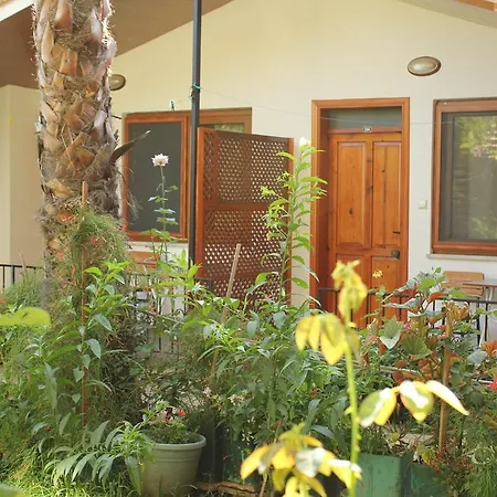 ホテル Grand Aygun Çıralı