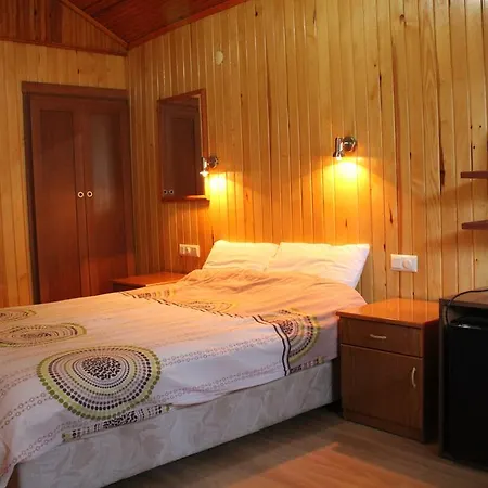 Grand Aygun ホテル Çıralı