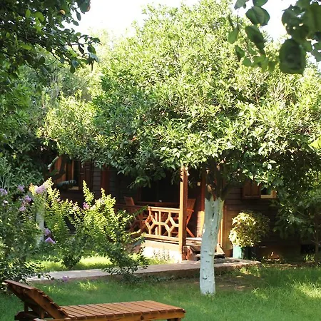 ホテル Grand Aygun *