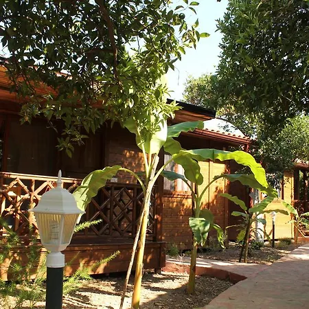 Grand Aygun