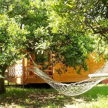 ホテル Grand Aygun