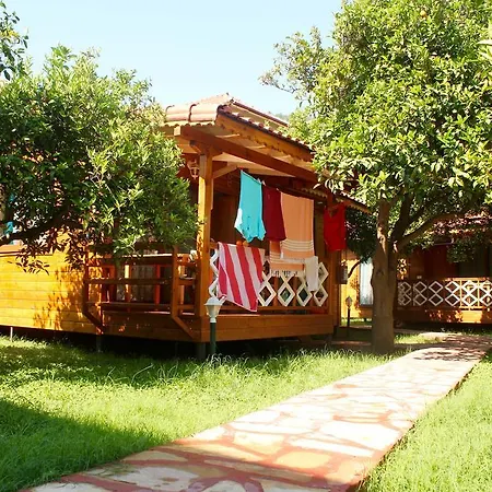 ホテル Grand Aygun