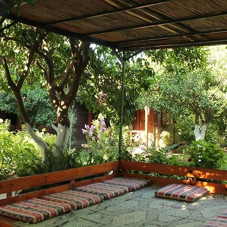 Grand Aygun * Çıralı